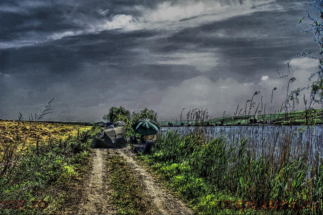 Party Cup (2) - 2013 - 1010372hdrmode2.JPG